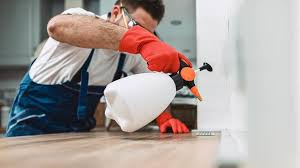 Best Pest Control for Multi-Family Homes  in Duson, LA